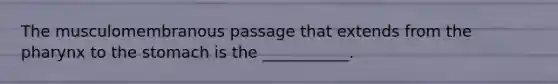 The musculomembranous passage that extends from the pharynx to the stomach is the ___________.