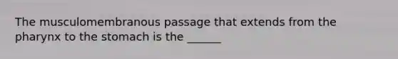 The musculomembranous passage that extends from the pharynx to the stomach is the ______