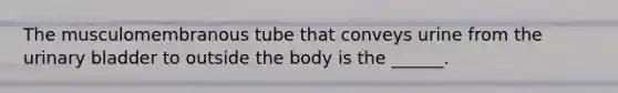 The musculomembranous tube that conveys urine from the urinary bladder to outside the body is the ______.