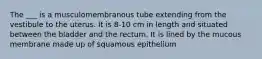 The ___ is a musculomembranous tube extending from the vestibule to the uterus. It is 8-10 cm in length and situated between the bladder and the rectum. It is lined by the mucous membrane made up of squamous epithelium