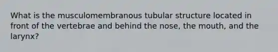 What is the musculomembranous tubular structure located in front of the vertebrae and behind the nose, the mouth, and the larynx?