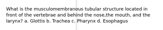 What is the musculomembranous tubular structure located in front of the vertebrae and behind the nose,the mouth, and the larynx? a. Glottis b. Trachea c. Pharynx d. Esophagus