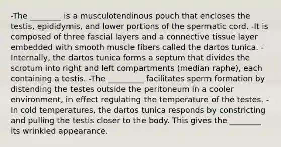 -The ________ is a musculotendinous pouch that encloses the testis, epididymis, and lower portions of the spermatic cord. -It is composed of three fascial layers and a <a href='https://www.questionai.com/knowledge/kYDr0DHyc8-connective-tissue' class='anchor-knowledge'>connective tissue</a> layer embedded with smooth muscle fibers called the dartos tunica. -Internally, the dartos tunica forms a septum that divides the scrotum into right and left compartments (median raphe), each containing a testis. -The _________ facilitates sperm formation by distending the testes outside the peritoneum in a cooler environment, in effect regulating the temperature of the testes. -In cold temperatures, the dartos tunica responds by constricting and pulling the testis closer to the body. This gives the ________ its wrinkled appearance.