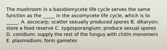 The mushroom in a basidiomycete life cycle serves the same function as the _____ in the ascomycete life cycle, which is to _____. A. ascocarp; scatter sexually produced spores B. dikaryon; store a food reserve C. zygosporangium; produce sexual spores D. conidium; supply the rest of the fungus with chitin monomers E. plasmodium; form gametes