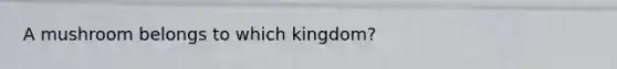 A mushroom belongs to which kingdom?