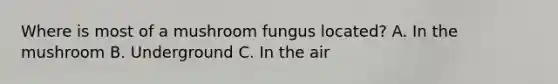 Where is most of a mushroom fungus located? A. In the mushroom B. Underground C. In the air