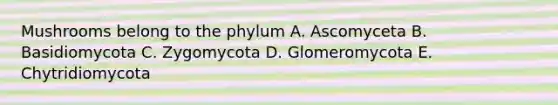 Mushrooms belong to the phylum A. Ascomyceta B. Basidiomycota C. Zygomycota D. Glomeromycota E. Chytridiomycota