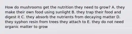 How do mushrooms get the nutrition they need to grow? A. they make their own food using sunlight B. they trap their food and digest it C. they absorb the nutrients from decaying matter D. they syphon resin from trees they attach to E. they do not need organic matter to grow