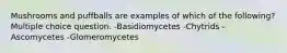 Mushrooms and puffballs are examples of which of the following? Multiple choice question. -Basidiomycetes -Chytrids -Ascomycetes -Glomeromycetes