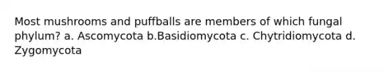 Most mushrooms and puffballs are members of which fungal phylum? a. Ascomycota b.Basidiomycota c. Chytridiomycota d. Zygomycota