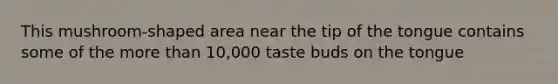 This mushroom-shaped area near the tip of the tongue contains some of the more than 10,000 taste buds on the tongue