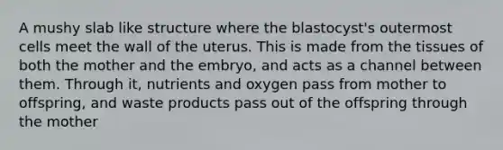 A mushy slab like structure where the blastocyst's outermost cells meet the wall of the uterus. This is made from the tissues of both the mother and the embryo, and acts as a channel between them. Through it, nutrients and oxygen pass from mother to offspring, and waste products pass out of the offspring through the mother