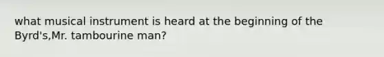 what musical instrument is heard at the beginning of the Byrd's,Mr. tambourine man?