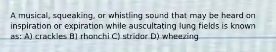 A musical, squeaking, or whistling sound that may be heard on inspiration or expiration while auscultating lung fields is known as: A) crackles B) rhonchi C) stridor D) wheezing