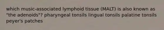 which music-associated lymphoid tissue (MALT) is also known as "the adenoids"? pharyngeal tonsils lingual tonsils palatine tonsils peyer's patches