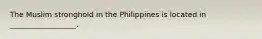 The Muslim stronghold in the Philippines is located in __________________.