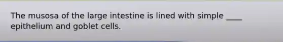 The musosa of the large intestine is lined with simple ____ epithelium and goblet cells.
