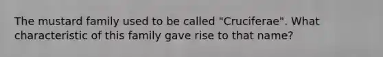 The mustard family used to be called "Cruciferae". What characteristic of this family gave rise to that name?