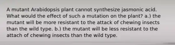 A mutant Arabidopsis plant cannot synthesize jasmonic acid. What would the effect of such a mutation on the plant? a.) the mutant will be more resistant to the attack of chewing insects than the wild type. b.) the mutant will be less resistant to the attach of chewing insects than the wild type.