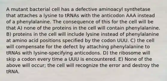 A mutant bacterial cell has a defective aminoacyl synthetase that attaches a lysine to tRNAs with the anticodon AAA instead of a phenylalanine. The consequence of this for the cell will be that A) none of the proteins in the cell will contain phenylalanine. B) proteins in the cell will include lysine instead of phenylalanine at amino acid positions specified by the codon UUU. C) the cell will compensate for the defect by attaching phenylalanine to tRNAs with lysine-specifying anticodons. D) the ribosome will skip a codon every time a UUU is encountered. E) None of the above will occur; the cell will recognize the error and destroy the tRNA.