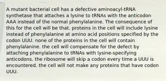 A mutant bacterial cell has a defective aminoacyl-tRNA synthetase that attaches a lysine to tRNAs with the anticodon AAA instead of the normal phenylalanine. The consequence of this for the cell will be that. proteins in the cell will include lysine instead of phenylalanine at amino acid positions specified by the codon UUU. none of the proteins in the cell will contain phenylalanine. the cell will compensate for the defect by attaching phenylalanine to tRNAs with lysine-specifying anticodons. the ribosome will skip a codon every time a UUU is encountered. the cell will not make any proteins that have codon UUU.