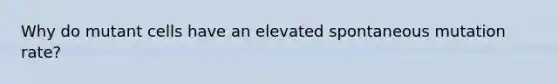 Why do mutant cells have an elevated spontaneous mutation rate?