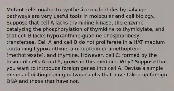 Mutant cells unable to synthesize nucleotides by salvage pathways are very useful tools in molecular and cell biology. Suppose that cell A lacks thymidine kinase, the enzyme catalyzing the phosphorylation of thymidine to thymidylate, and that cell B lacks hypoxanthine-guanine phosphoribosyl transferase. Cell A and cell B do not proliferate in a HAT medium containing hypoxanthine, aminopterin or amethopterin (methotrexate), and thymine. However, cell C, formed by the fusion of cells A and B, grows in this medium. Why? Suppose that you want to introduce foreign genes into cell A. Devise a simple means of distinguishing between cells that have taken up foreign DNA and those that have not.