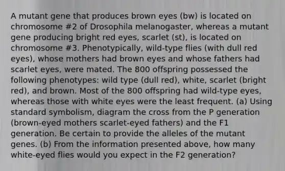 A mutant gene that produces brown eyes (bw) is located on chromosome #2 of Drosophila melanogaster, whereas a mutant gene producing bright red eyes, scarlet (st), is located on chromosome #3. Phenotypically, wild-type flies (with dull red eyes), whose mothers had brown eyes and whose fathers had scarlet eyes, were mated. The 800 offspring possessed the following phenotypes: wild type (dull red), white, scarlet (bright red), and brown. Most of the 800 offspring had wild-type eyes, whereas those with white eyes were the least frequent. (a) Using standard symbolism, diagram the cross from the P generation (brown-eyed mothers scarlet-eyed fathers) and the F1 generation. Be certain to provide the alleles of the mutant genes. (b) From the information presented above, how many white-eyed flies would you expect in the F2 generation?