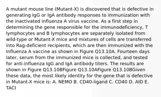 A mutant mouse line (Mutant-X) is discovered that is defective in generating IgG or IgA antibody responses to immunization with the inactivated influenza A virus vaccine. As a first step in determining the gene responsible for the immunodeficiency, T lymphocytes and B lymphocytes are separately isolated from wild-type or Mutant-X mice and mixtures of cells are transferred into Rag-deficient recipients, which are then immunized with the Influenza A vaccine as shown in Figure Q13.10A. Fourteen days later, serum from the immunized mice is collected, and tested for anti-influenza IgG and IgA antibody titers. The results are shown in Figure Q13.10BFigure Q13.10AFigure Q13.10BGiven these data, the most likely identity for the gene that is defective in Mutant-X mice is: A. NEMO B. CD40-ligand C. CD40 D. AID E. TACI