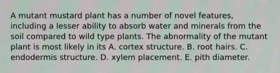 A mutant mustard plant has a number of novel features, including a lesser ability to absorb water and minerals from the soil compared to wild type plants. The abnormality of the mutant plant is most likely in its A. cortex structure. B. root hairs. C. endodermis structure. D. xylem placement. E. pith diameter.