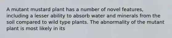 A mutant mustard plant has a number of novel features, including a lesser ability to absorb water and minerals from the soil compared to wild type plants. The abnormality of the mutant plant is most likely in its