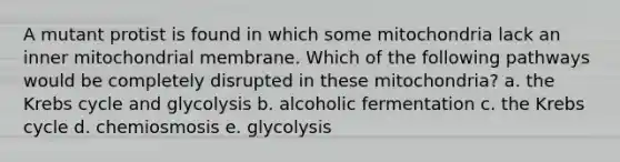 A mutant protist is found in which some mitochondria lack an inner mitochondrial membrane. Which of the following pathways would be completely disrupted in these mitochondria? a. the <a href='https://www.questionai.com/knowledge/kqfW58SNl2-krebs-cycle' class='anchor-knowledge'>krebs cycle</a> and glycolysis b. alcoholic fermentation c. the Krebs cycle d. chemiosmosis e. glycolysis