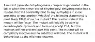 A mutant pyruvate dehydrogenase complex is generated in the lab in which the active site of dihydrolipoyl dehydrogenase has a residue that will covalently bind to any sulfhydryls in close proximity to one another. Which of the following statements is most likely TRUE of such a mutant? The reaction rate of the mutant will be faster. The mutant will initially be able to decarboxylate pyruvate and form one acetyl CoA, but the reaction will not proceed past this point. The mutant will be completely inactive and no substrate will bind. The mutant will behave just as the wild-type enzyme.