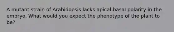 A mutant strain of Arabidopsis lacks apical-basal polarity in the embryo. What would you expect the phenotype of the plant to be?