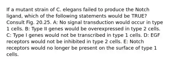 If a mutant strain of C. elegans failed to produce the Notch ligand, which of the following statements would be TRUE? Consult Fig. 20.25. A: No signal transduction would occur in type 1 cells. B: Type II genes would be overexpressed in type 2 cells. C: Type I genes would not be transcribed in type 1 cells. D: EGF receptors would not be inhibited in type 2 cells. E: Notch receptors would no longer be present on the surface of type 1 cells.