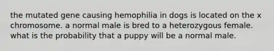 the mutated gene causing hemophilia in dogs is located on the x chromosome. a normal male is bred to a heterozygous female. what is the probability that a puppy will be a normal male.