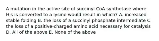 A mutation in the active site of succinyl CoA synthetase where His is converted to a lysine would result in which? A. increased stable folding B. the loss of a succinyl phosphate intermediate C. the loss of a positive-charged amino acid necessary for catalysis D. All of the above E. None of the above