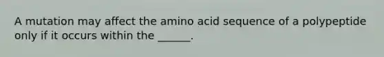 A mutation may affect the amino acid sequence of a polypeptide only if it occurs within the ______.