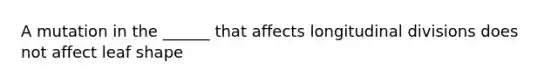 A mutation in the ______ that affects longitudinal divisions does not affect leaf shape