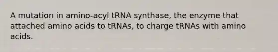 A mutation in amino-acyl tRNA synthase, the enzyme that attached <a href='https://www.questionai.com/knowledge/k9gb720LCl-amino-acids' class='anchor-knowledge'>amino acids</a> to tRNAs, to charge tRNAs with amino acids.