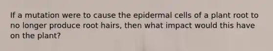 If a mutation were to cause the epidermal cells of a plant root to no longer produce root hairs, then what impact would this have on the plant?