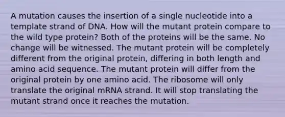 A mutation causes the insertion of a single nucleotide into a template strand of DNA. How will the mutant protein compare to the wild type protein? Both of the proteins will be the same. No change will be witnessed. The mutant protein will be completely different from the original protein, differing in both length and amino acid sequence. The mutant protein will differ from the original protein by one amino acid. The ribosome will only translate the original mRNA strand. It will stop translating the mutant strand once it reaches the mutation.