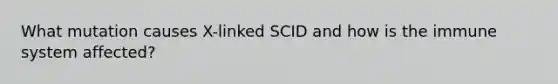 What mutation causes X-linked SCID and how is the immune system affected?