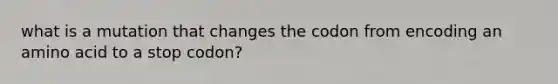 what is a mutation that changes the codon from encoding an amino acid to a stop codon?