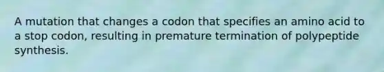 A mutation that changes a codon that specifies an amino acid to a stop codon, resulting in premature termination of polypeptide synthesis.