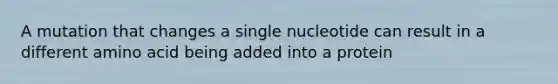 A mutation that changes a single nucleotide can result in a different amino acid being added into a protein