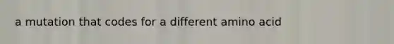 a mutation that codes for a different amino acid