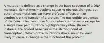 A mutation is defined as a change in the base sequence of a DNA molecule. Sometimes mutations cause no obvious changes, but other times mutations can have profound effects on the synthesis or the function of a protein. The nucleotide sequences of the DNA molecules in the figure below are the same except for a single base pair mutation highlighted in yellow. (In each instance, the bolded base pair is the starting point of transcription.) Which of the mutations above would be least likely to cause a change in the function of the protein?