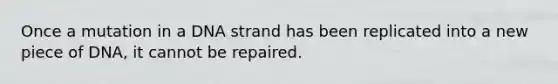 Once a mutation in a DNA strand has been replicated into a new piece of DNA, it cannot be repaired.