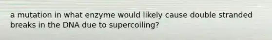 a mutation in what enzyme would likely cause double stranded breaks in the DNA due to supercoiling?